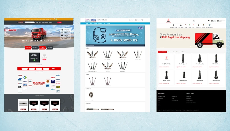 professional ecommerce development