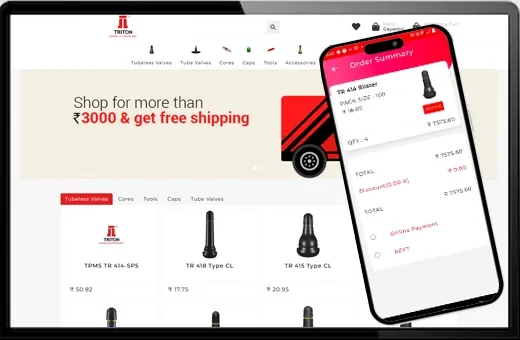 Triton Valves case study